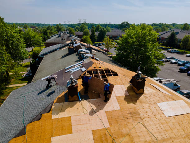Trusted Flat Roof Repair service in Penn Laird, VA - Brentwood Metal Roofing